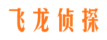 岭东找人公司